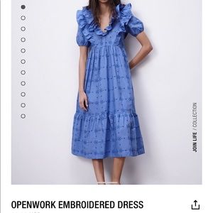 Zara Open Work Embroidered Dress (New with Tags)
